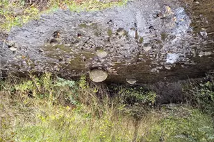 19905 State Line Rd, Harvard, IL 60033 - Photo 43