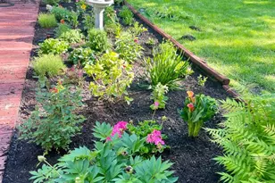 5549 Laurel Ave, La Grange Highlands, IL 60525 - Photo 27