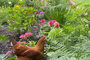 5549 Laurel Ave, La Grange Highlands, IL 60525 - Photo 25