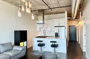 50 E 16th St, Chicago, IL 60616 - Photo 5