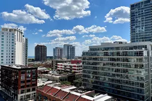 50 E 16th St, Chicago, IL 60616 - Photo 17