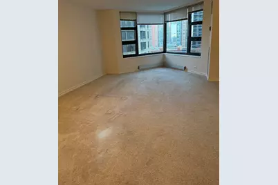 401 E Ontario Street #1404, Chicago, IL 60611 - Photo 5