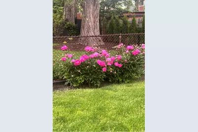 1507 Clinton Place, River Forest, IL 60305 - Photo 41