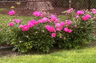 1507 Clinton Pl, River Forest, IL 60305 - Photo 41