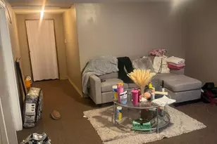 8520 S Kingston Ave, Chicago, IL 60617 - Photo 17