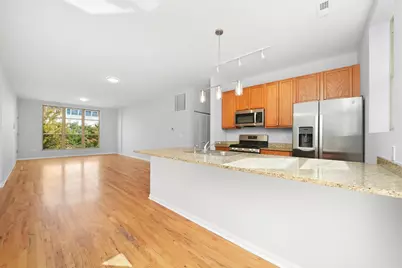 317 E 25th Street #3E, Chicago, IL 60616 - Photo 9