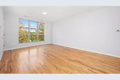 317 E 25th Street #3E, Chicago, IL 60616 - Photo 5