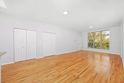 317 E 25th Street #3E, Chicago, IL 60616 - Photo 7