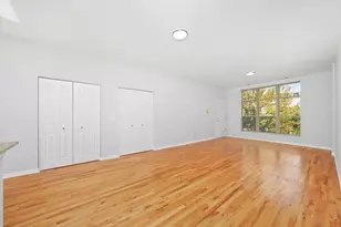 317 E 25th St, Chicago, IL 60616 - Photo 7