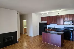 41 E 8th St, Chicago, IL 60605 - Photo 15