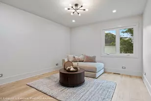 541 Braemar Ave, Naperville, IL 60563 - Photo 49