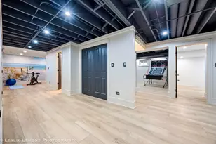 541 Braemar Ave, Naperville, IL 60563 - Photo 55