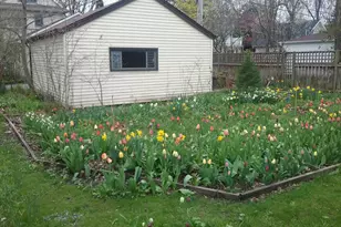 2500 Thayer St, Evanston, IL 60201 - Photo 31