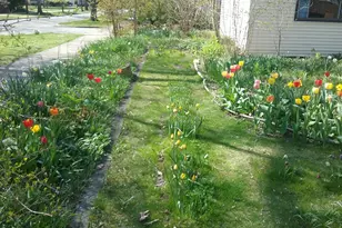 2500 Thayer St, Evanston, IL 60201 - Photo 33