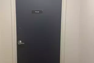 222 E Pearson St, Chicago, IL 60611 - Photo 13