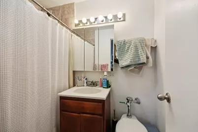 222 E Pearson Street #1009, Chicago, IL 60611 - Photo 7