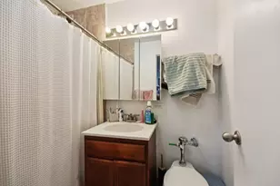 222 E Pearson St, Chicago, IL 60611 - Photo 7