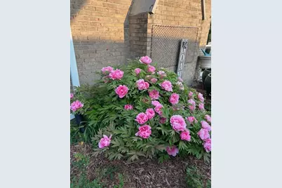 20W481 Westminster Drive, Downers Grove, IL 60516 - Photo 37