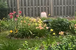 20W481 Westminster Dr, Downers Grove, IL 60516 - Photo 35