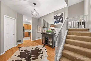 610 Juniper Ln, Lake in the Hills, IL 60156 - Photo 3