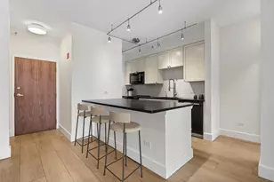 435 W Erie St, Chicago, IL 60654 - Photo 17