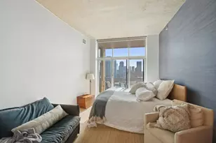 700 N Larrabee St, Chicago, IL 60654 - Photo 11