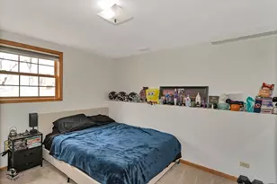 24412 S Kings Rd, Crete, IL 60417 - Photo 21