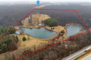 1870 N Lick Creek Rd, Orangeville, IL 62939 - Photo 3