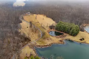 1870 N Lick Creek Rd, Orangeville, IL 62939 - Photo 45