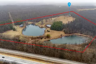 1870 N Lick Creek Rd, Orangeville, IL 62939 - Photo 37