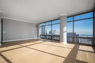 100 E 14th St, Chicago, IL 60605 - Photo 5