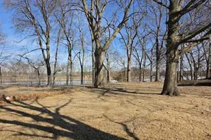 45 Locust St, Prophetstown, IL 61277 - Photo 13