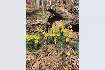 3085 Kaolin Road, Cobden, IL 62920 - Photo 71