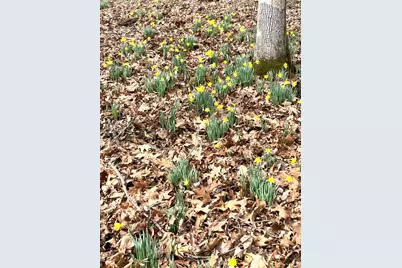 3085 Kaolin Road, Cobden, IL 62920 - Photo 73