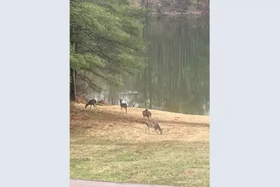 3085 Kaolin Road, Cobden, IL 62920 - Photo 57