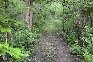 8106 Maple St, Marengo, IL 60152 - Photo 43