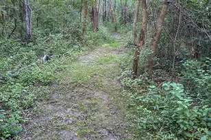 8106 Maple St, Marengo, IL 60152 - Photo 45