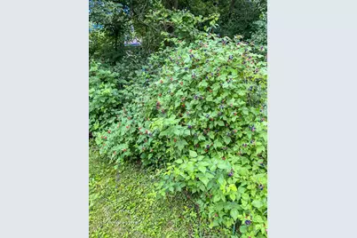 8106 Maple Street, Marengo, IL 60152 - Photo 39