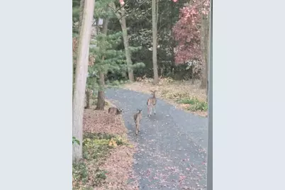 4910 Taffy Court, Richmond, IL 60071 - Photo 41