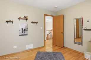 17050 Kerry Ave, Orland Park, IL 60467 - Photo 29