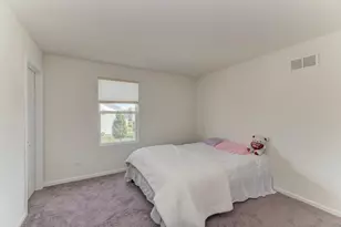 335 Snowdrop Ln, Elgin, IL 60124 - Photo 27