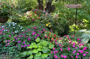 200 Brookside Ln, Willowbrook, IL 60527 - Photo 21