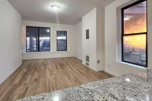 [Address not provided], Chicago, IL 60616 - Photo 9