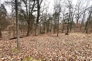 526 Power Plant Rd, Marion, IL 62959 - Photo 39