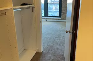 411 W Ontario St, Chicago, IL 60654 - Photo 7