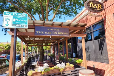 4250 N Marine Drive #1729, Chicago, IL 60613 - Photo 47