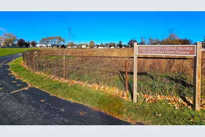 8926 Oak Park Avenue, Morton Grove, IL 60053 - Photo 29