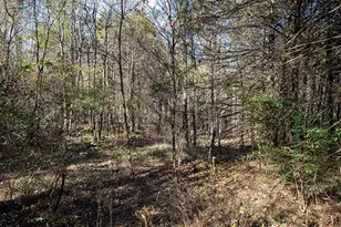 190 Schwartz Hill Ln, Vienna, IL 62995 - Photo 25