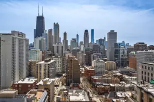 1310 N Ritchie Ct, Chicago, IL 60610 - Photo 25