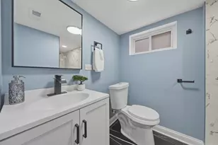 3910 W 85th St, Chicago, IL 60652 - Photo 23